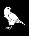 FalkBlanko