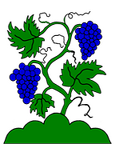 WinzbergBlanko